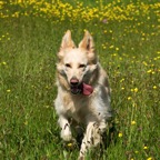 18-DSC03769