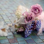 04-DSC09775
