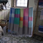 08-DSC02804