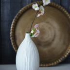 24-IMG_4717